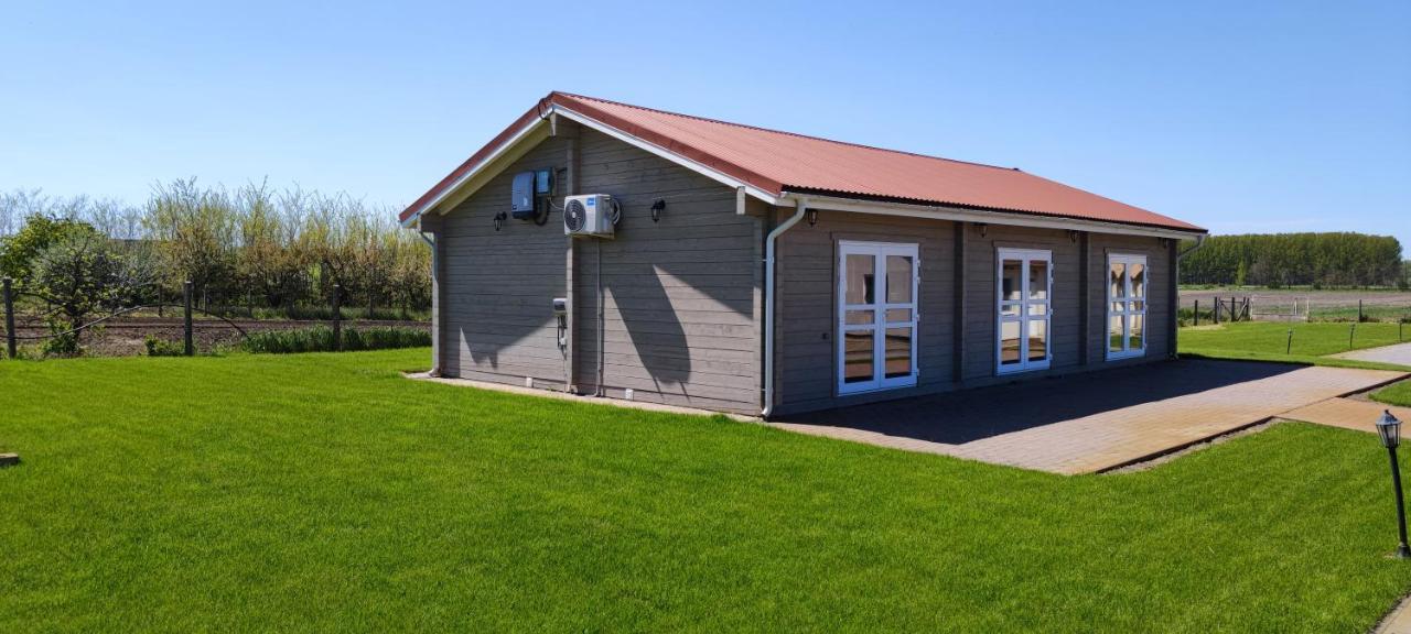 Village Garden Family Guest House Tiszakanyar Exterior photo